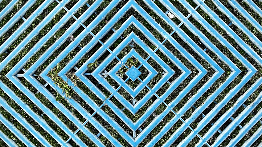 Rhombuses Shapes Blue Fence Plants Bushes Background Others HD wallpaper