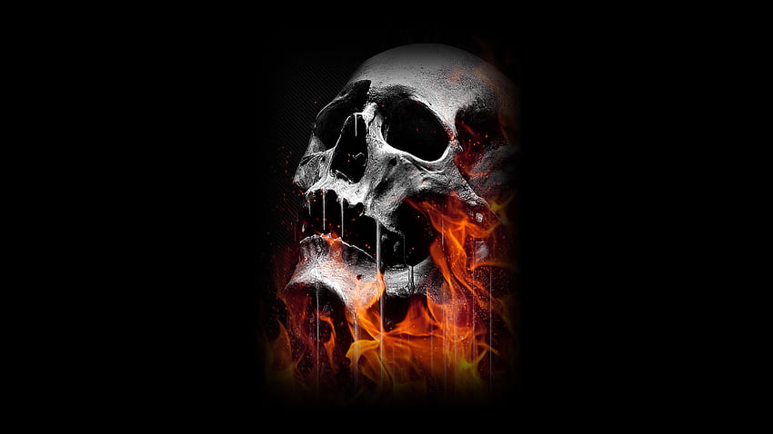 Skull Full () background, High Resolution Skull HD wallpaper