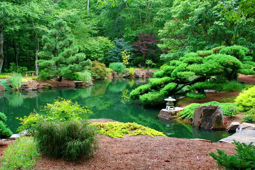 Japanese garden, plants, serenity, tranquil, reflection, trees, greenery, pond, japanese, garden, grass, lake, park, summer, emerald, nature, calmness, forest HD wallpaper