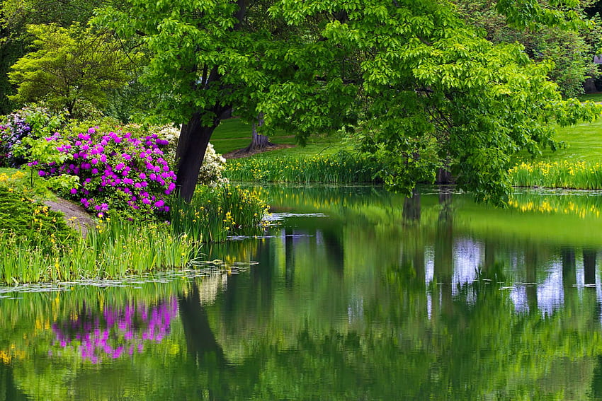 Taman musim semi, refleksi, tanaman hijau, pohon, musim semi, taman, danau, kolam Wallpaper HD