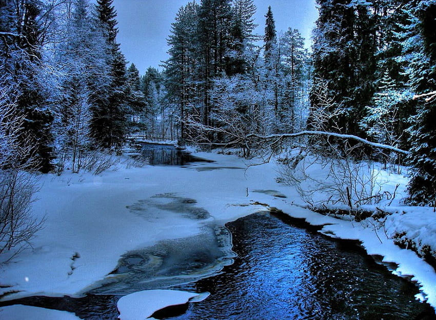BEUTIFUL GORGEOUS SCENE WINTER, 겨울의 아름다운 풍경, 아름다운 HD 월페이퍼