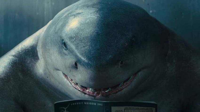 The Suicide Squad' Releases Special 'Shark Week', King Shark HD wallpaper