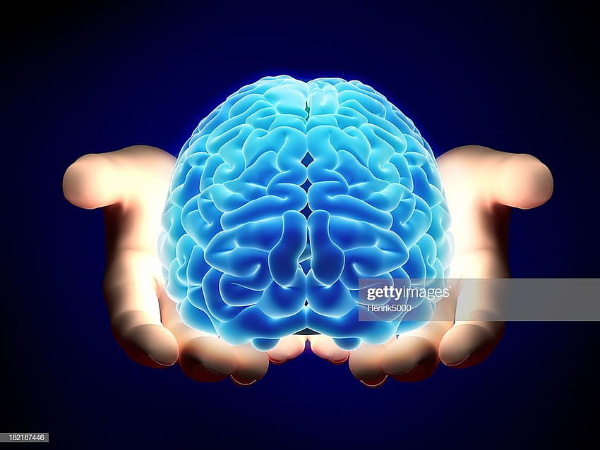 世界最高の人間の脳のストック 、 、および 高画質の壁紙