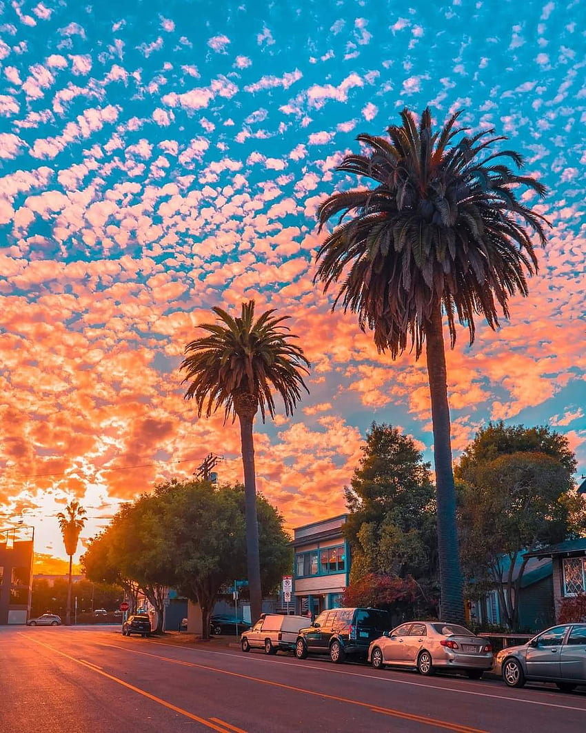 Los Angeles California, cloud, sky HD phone wallpaper