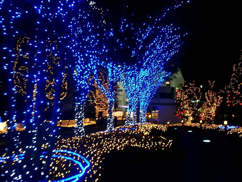 Lighting Stores In Orange County – LIGHTING STYLE from Lighting Stores In orange County, Christmas Tree Lights HD wallpaper