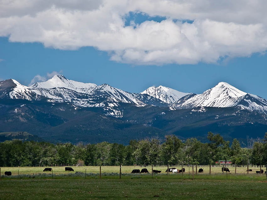 Cattle Ranch Montana 가축 목장 [], 모바일 및 태블릿용. 몬태나 목장을 탐험하십시오. 몬타나 목장, 목장, 텍사스 목장 HD 월페이퍼