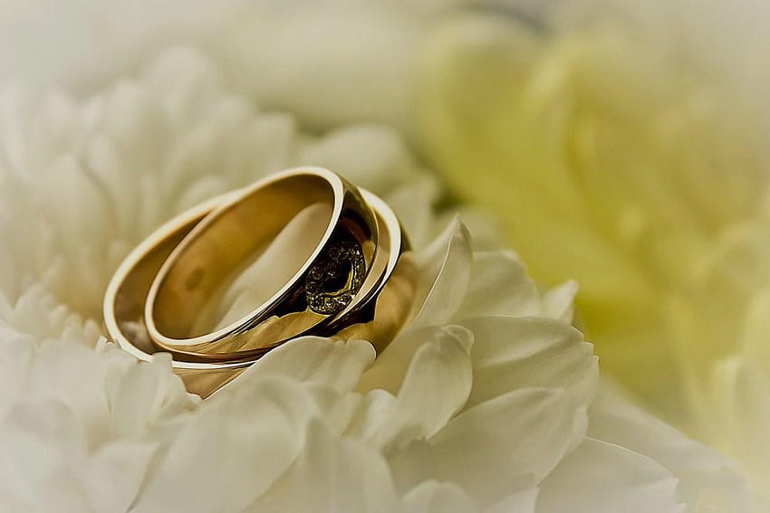Rings, proposal, tenderness, wedding, flower, love, beauty HD wallpaper