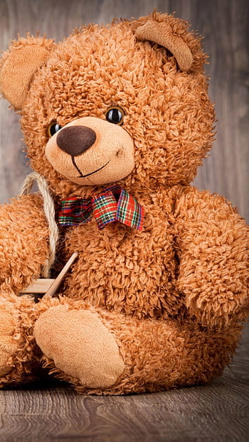 Cute Teddy Bear, Valentine's Day Bears HD phone wallpaper | Pxfuel