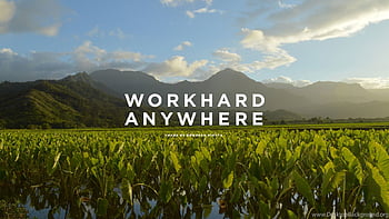 Work hard anywhere HD wallpapers | Pxfuel
