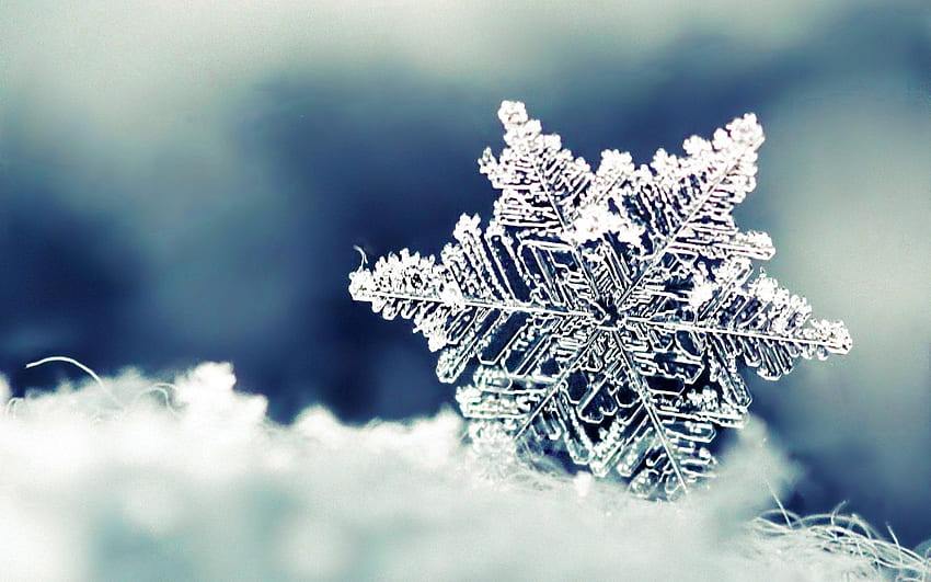 Real Snowflak , Background . Snowflake, Real graphy HD wallpaper