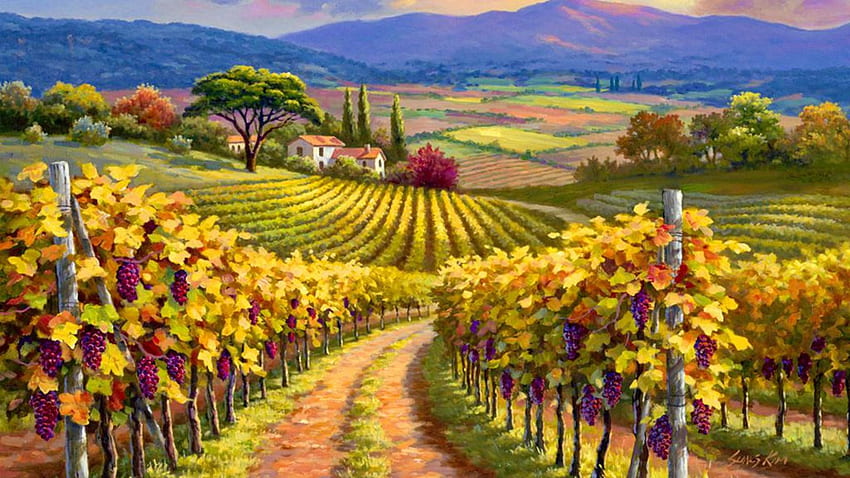 Vineyards . Vineyards, Winery HD wallpaper
