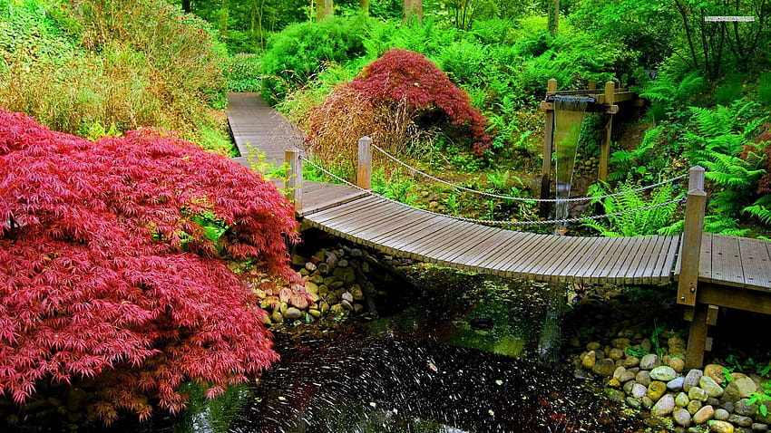 Japoński ogród zen, japoński kwiat wiśni zen Tapeta HD