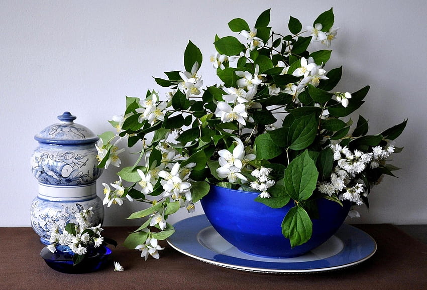Flowers, Bouquet, Bowl, Spring, Jasmine, Porcelain HD wallpaper
