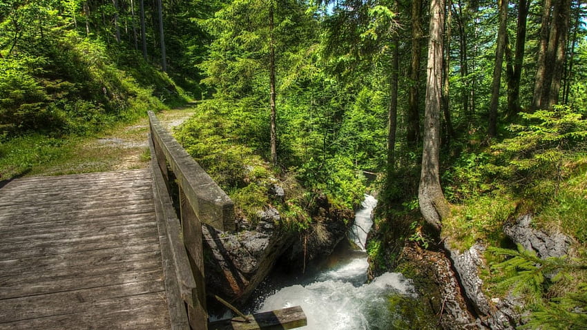 wooden forest bridge over mountain stream, wooden, bridge, road, steam, forest, mountain HD wallpaper
