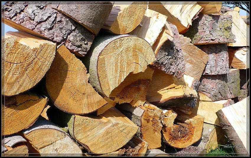 Pile de bois pour l'hiver, pile, bois, encadré, Washington Fond d'écran HD