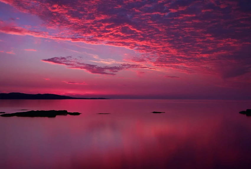 Pink Ocean Sunset HD wallpaper
