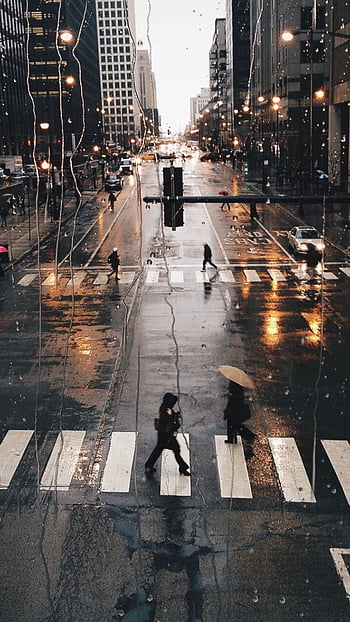 Walking to the Sun, crosswalk, landscape, man, nature, new york, sunset, HD  phone wallpaper | Peakpx