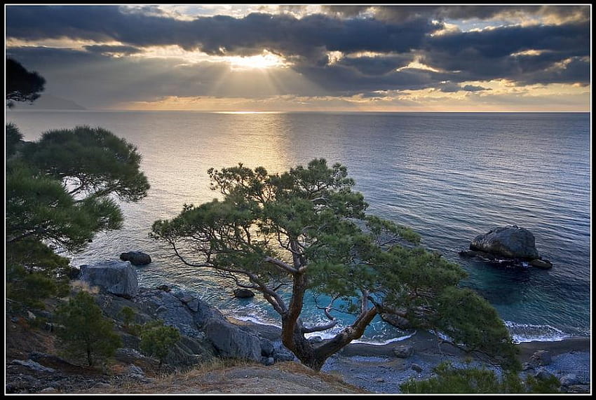 SEASCAPE, sea, shore, trees, calm, sunset HD wallpaper