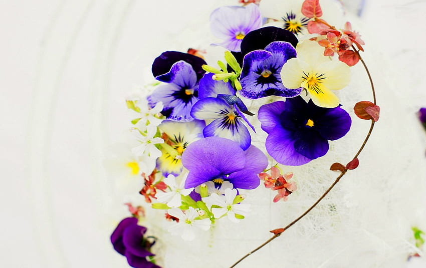 PRETTY BLOSSOMS, pansies, nature, flowers, blossoms HD wallpaper