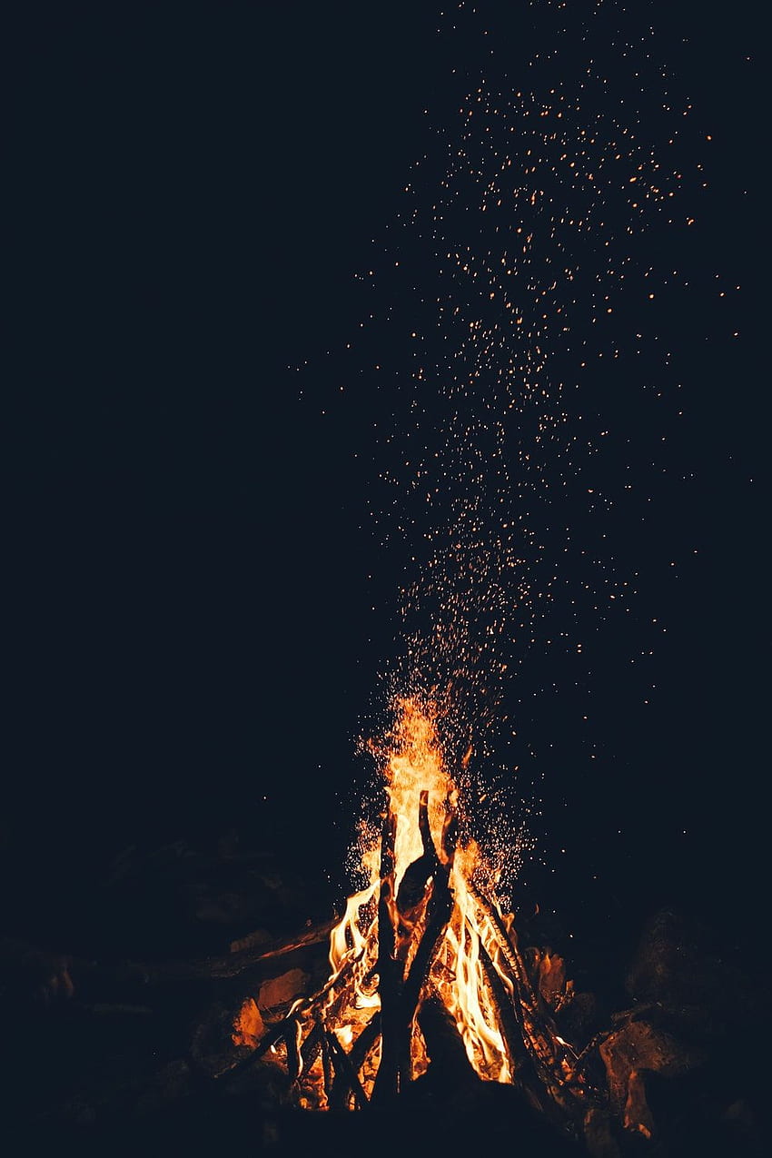 Best Campfire [], Burning Forest HD phone wallpaper