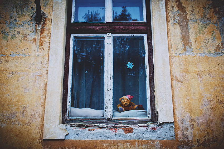 Teddy Bear, , , Vintage, Window HD wallpaper
