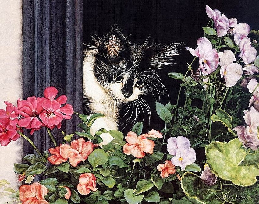 От Sueellen Ross, животно, коте, sueellen Ross, , изкуство, цвете, котка HD тапет