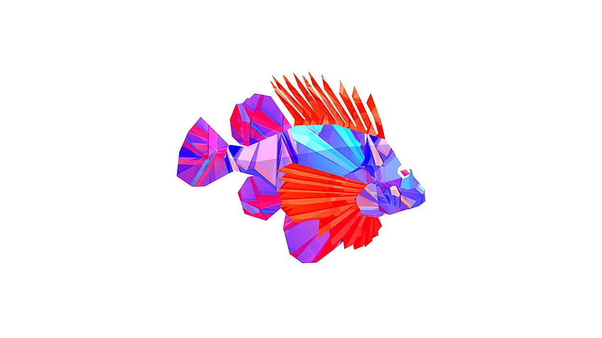 Abstract animals fish vectors digital art Justin Maller HD wallpaper
