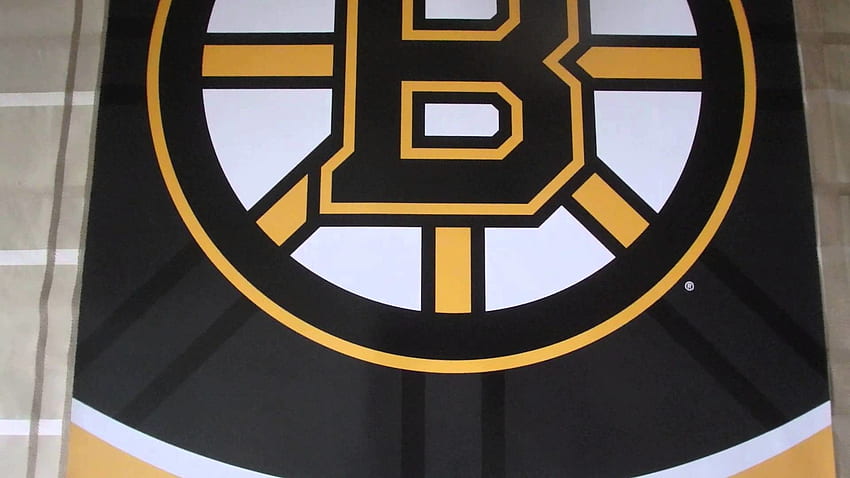 Best Anime - Nhl Boston Bruins Logo - - teahub.io HD wallpaper
