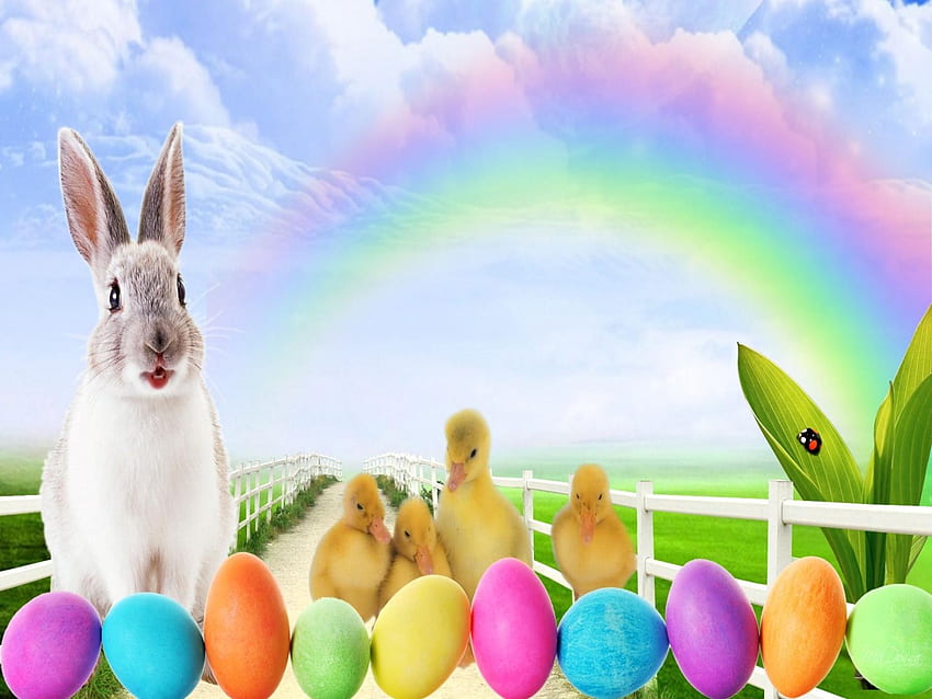 Easter bunny, eggs, and peeps . Background ., Colorful Easter HD wallpaper