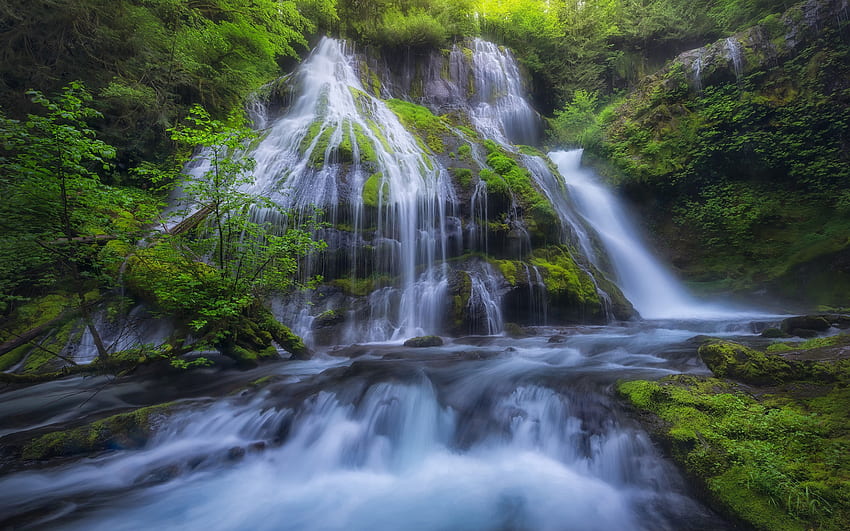 Panther Creek Falls, waterfall, evening, Columbia River Gorge, Gifford Pinchot National Forest, mountain falls, Washington State, USA HD wallpaper