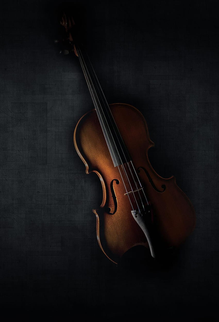 Mursy, Bratsche, Geige HD-Handy-Hintergrundbild