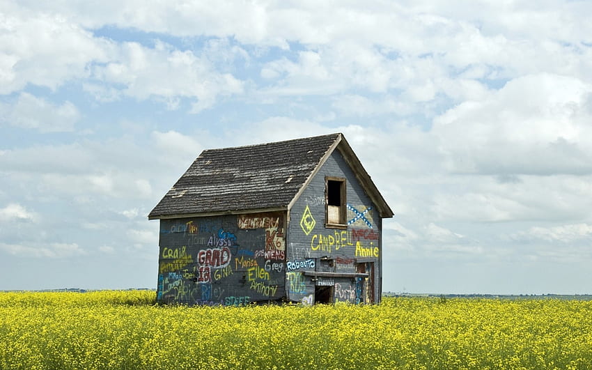 little graffiti house on the prairie, prairie, abandoned, graffiti, house, sky, flowers HD wallpaper
