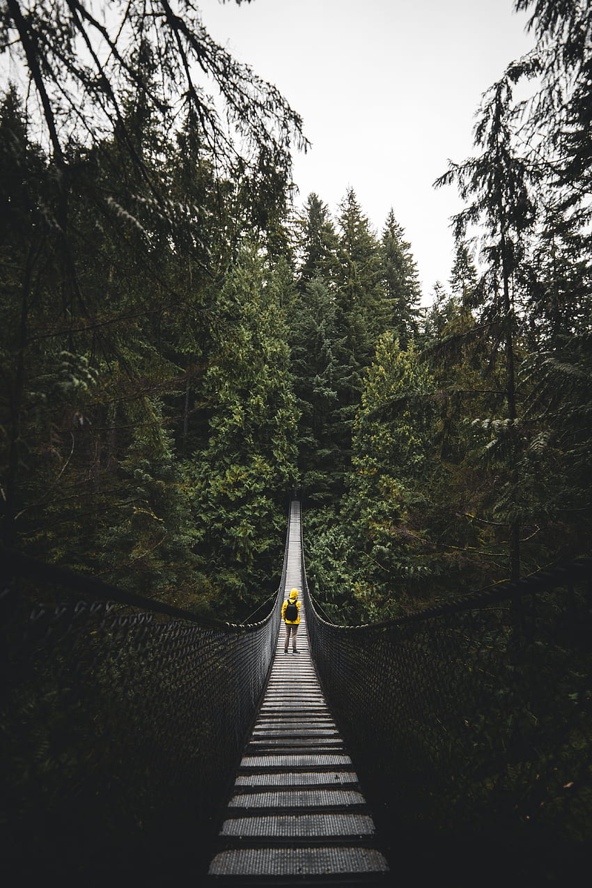 Natura, Canada, Ponte, Umano, Persona, Solitudine, Vancouver Sfondo del telefono HD
