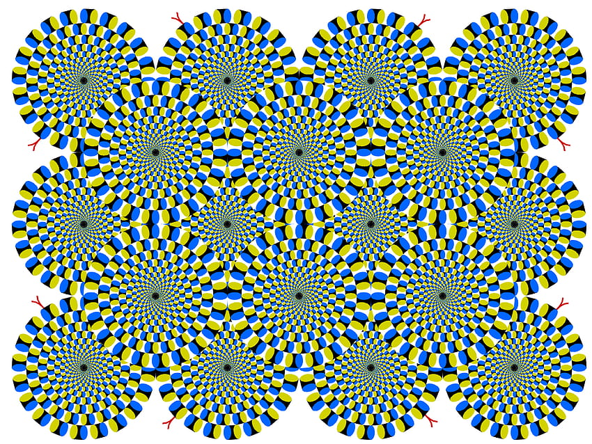 Akiyoshi's illusion pages, Moving Optical Illusion HD wallpaper