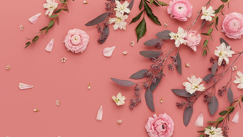 : Rosa Blume - Schönheit, Farbe, Flora - - Jooinn HD-Hintergrundbild