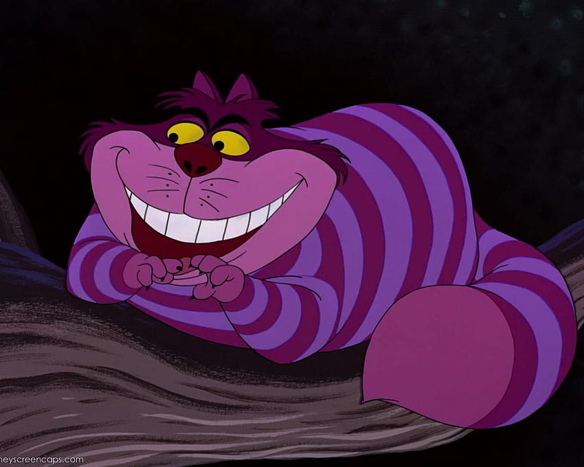 Cheshire Cat Disney HD wallpaper | Pxfuel