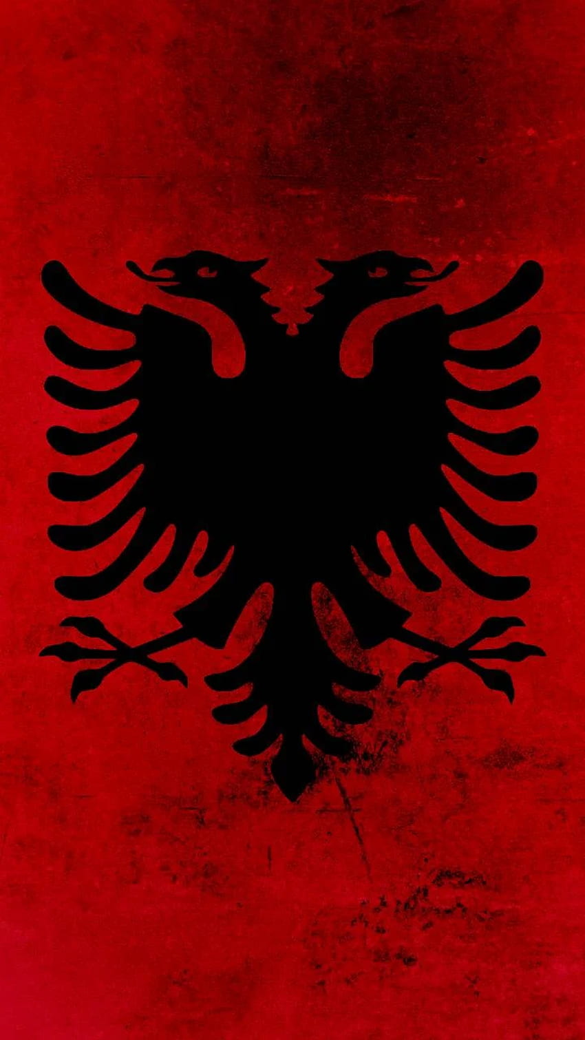 Bandiera dell'Albania, bandiera albanese Sfondo del telefono HD