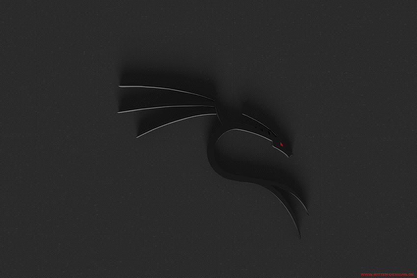 Kali Linux, Black Linux HD wallpaper