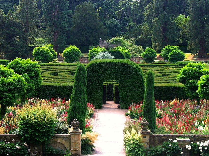 Nature, Park, Garden, Arch, Maze, England HD wallpaper