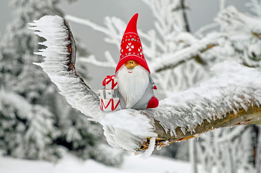 휴일, 산타 클로스, 눈, 크리스마스, 서리, 흰 서리 HD 월페이퍼