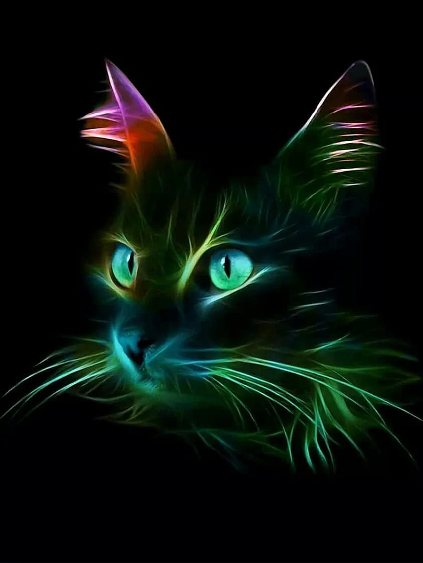 Cat fractal. Rainbow , Colorful animal paintings, Cat, GaMERCaT HD phone wallpaper