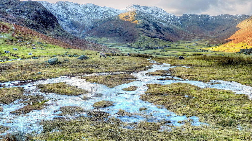 Schafe weiden im Lake District in England r, Schafe, r, Gras, Feuchtgebiet, Berge HD-Hintergrundbild