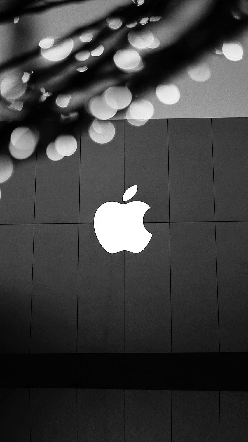 Лого на Apple Bw Тъмно, черно лого на Apple HD тапет за телефон