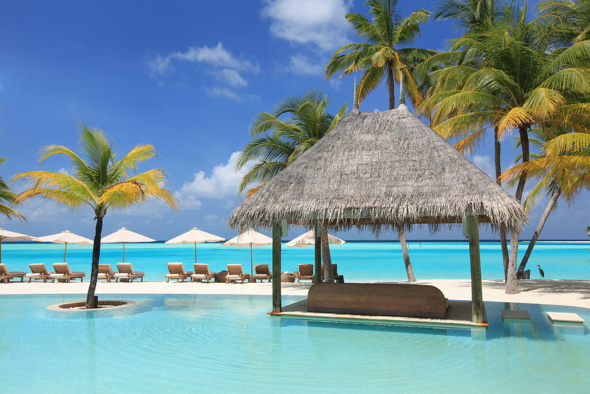 Palms, , , Relaxation, Rest, Sun Loungers, Pool, Beds HD wallpaper