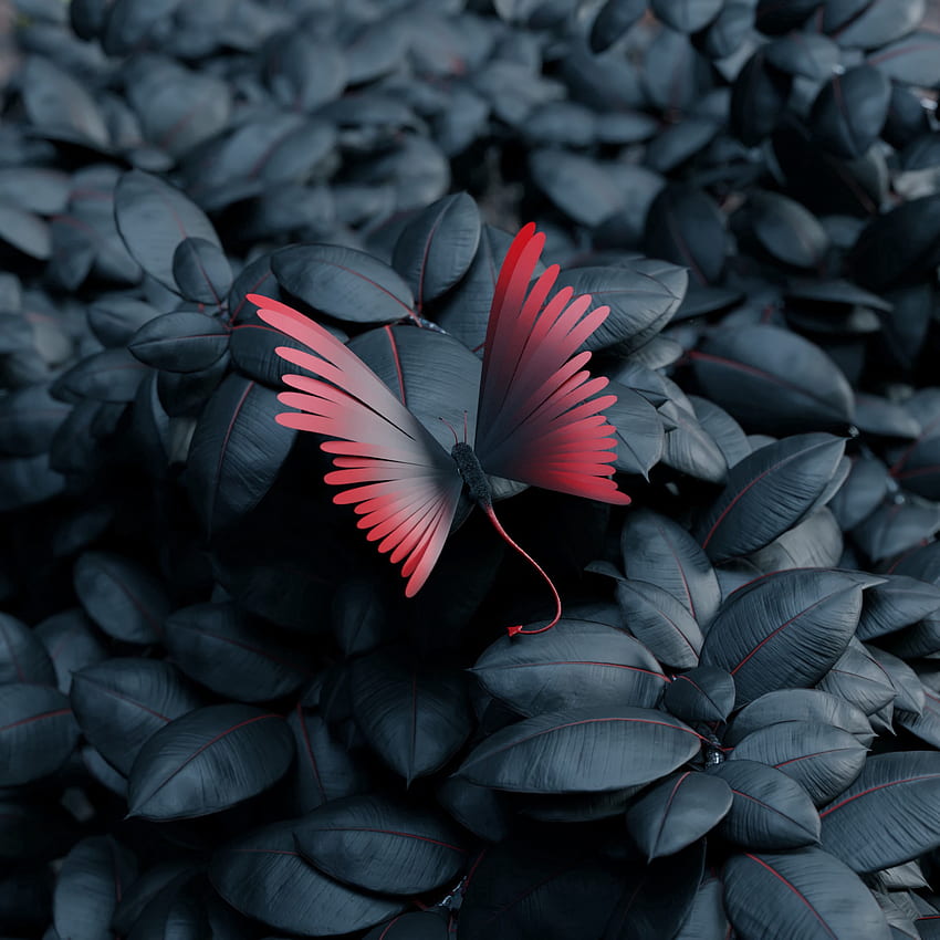 Leaves, 3D, Butterfly, Wings, Contrast HD phone wallpaper