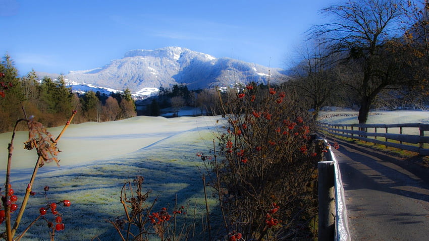 Beeren entlang einer frostigen Schlucht, Winter, Frost, Schlucht, Beeren, Straße, Berg HD-Hintergrundbild