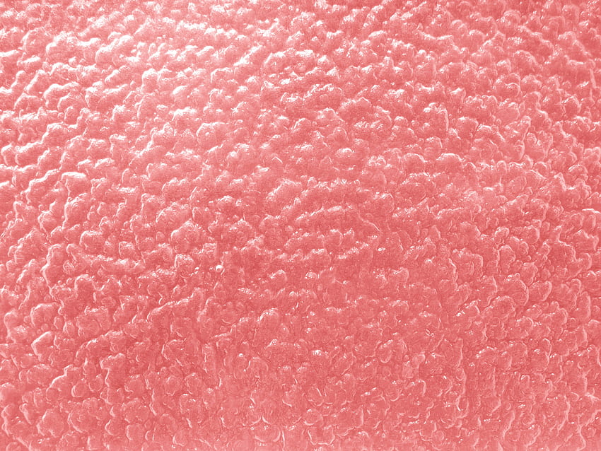 Coral Red Textured Glass with Bumpy Surface graph [] for your , Mobile & Tablet. Explore Coral Colored for Walls. Coral Reef for Walls HD wallpaper