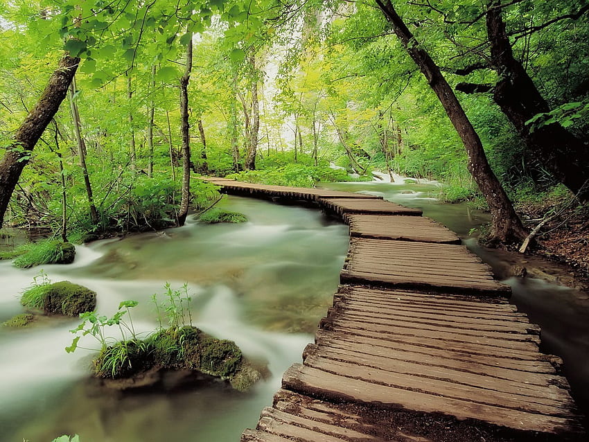 Park Narodowy Plitvice Chorwacja Świat w formacie jpg dla Jezior Plitwickich Tapeta HD