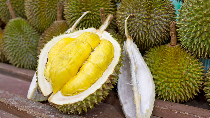 Durian Fruit - The World's Smelliest Snack HD wallpaper
