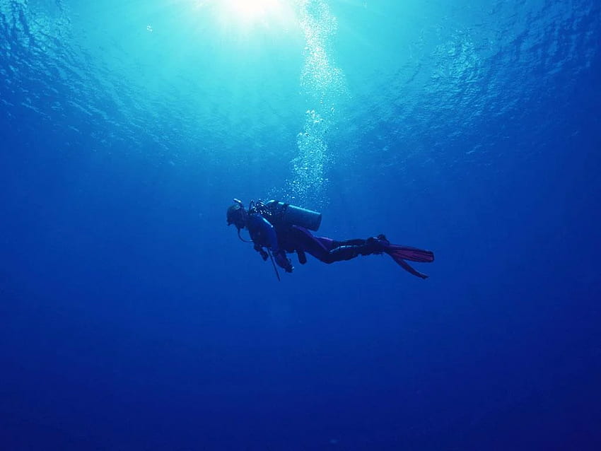 Scuba Diving, Deep Sea Diver HD wallpaper